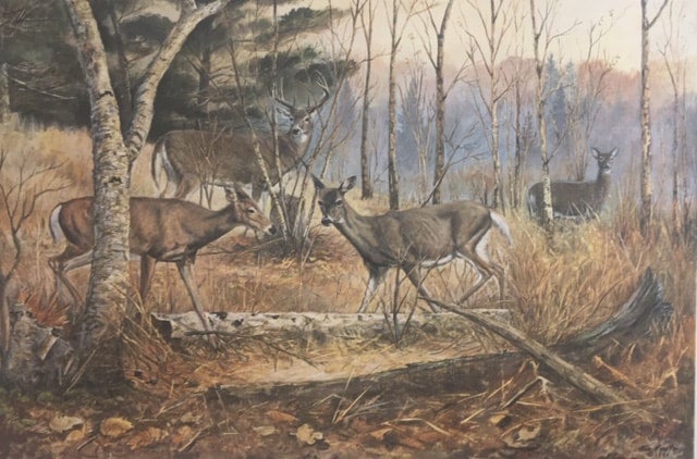 Jim Foote Prints | Zollars Fine Art